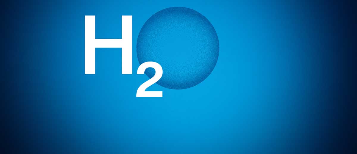 H20