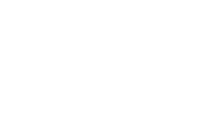Elektromobilität 